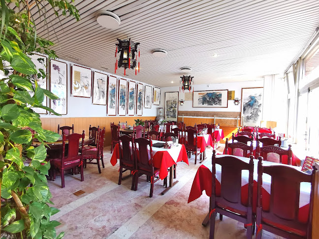 Comentarii opinii despre Čínská restaurace Jia Jia Le