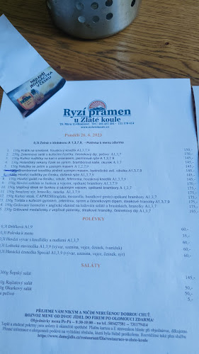 Opinii despre U Zlaté Koule în Olomouc - Gastronomie a pohostinství