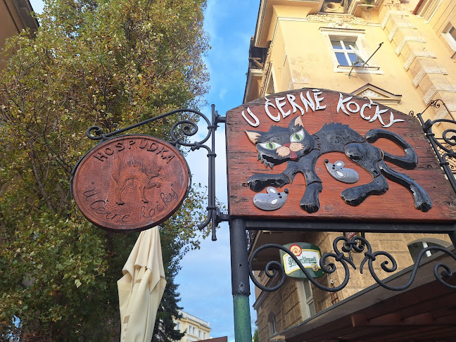 19, Kollárova 1458, 415 01 Teplice