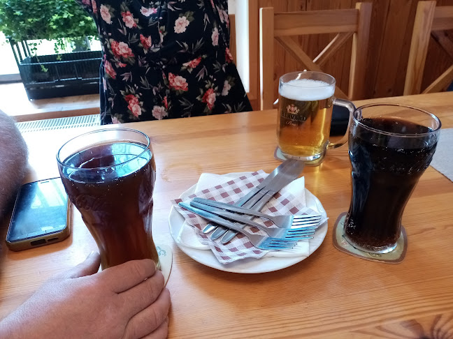 Restaurace / Penzion - Selský dvůr - Karlovy Vary