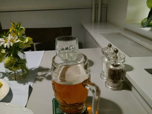 Comentarii opinii despre Restaurant Filip