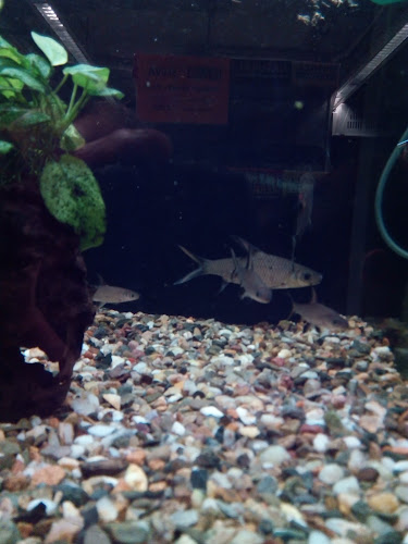 Výrobna Lahůdek A Polotovarů - Zajíčková Naděžda