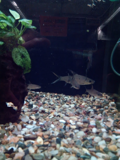 Výrobna Lahůdek A Polotovarů - Zajíčková Naděžda