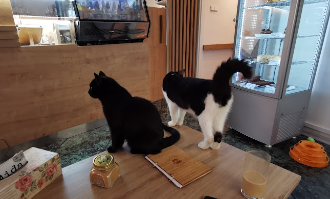 Kavárna Kočičí Praha - Staré Město