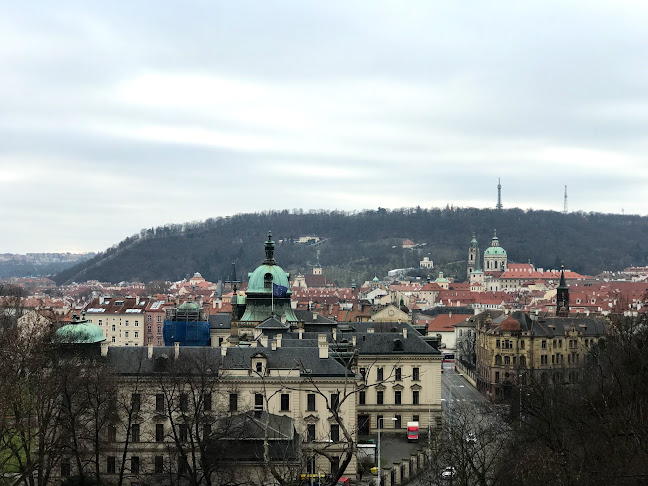 Comentarii opinii despre Hanavský Pavilon