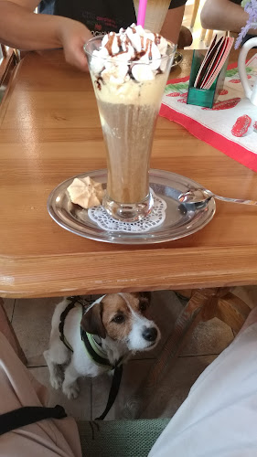 Café Charlotte - Plzeň