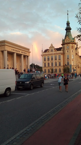 Opinii despre Restaurace Bašta în Hronov - Gastronomie a pohostinství