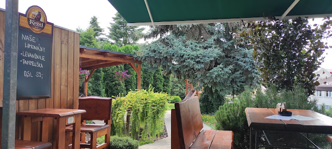 Comentarii opinii despre U Dvou lip