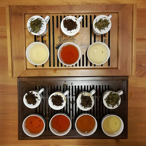 Opinii despre Večerní Café în Příbor - Gastronomie a pohostinství