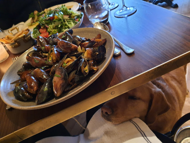 La Gare - Nové Město