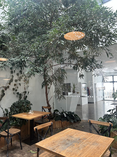 Dolicafe - Gastronomie a pohostinství