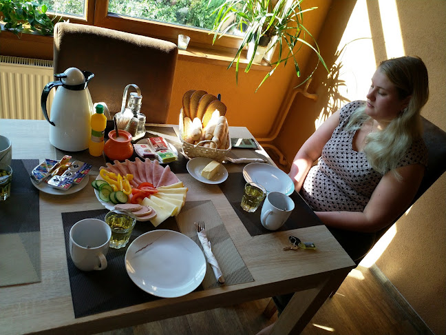 Opinii despre Penzion KONGO în Telnice - Gastronomie a pohostinství