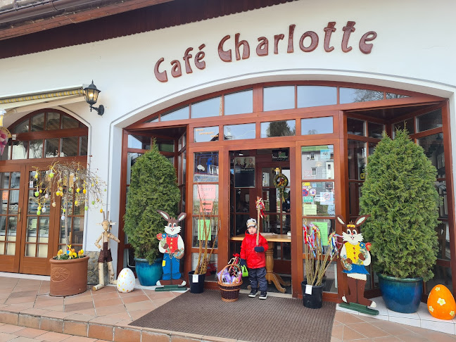 Café Charlotte - Plzeň