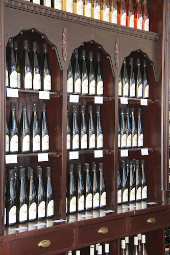 Opinii despre Dům Vína Na Šalďáku Liberec în Liberec - Gastronomie a pohostinství