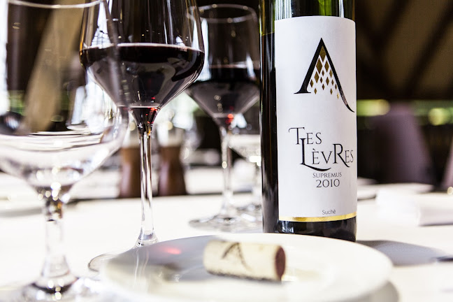 Restaurant a vinařství Salabka - Gastronomie a pohostinství