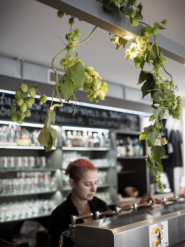 Comentarii opinii despre Pivovar Falkenštejn