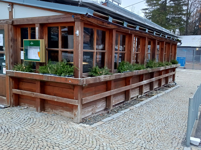 Restaurace Pizzerie Praděd - Karlov pod Pradědem