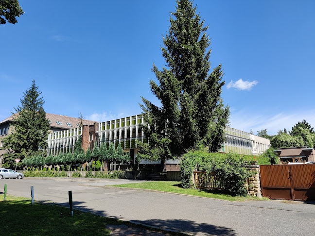 Centrální Školní Jídelna Litoměřice - Litoměřice