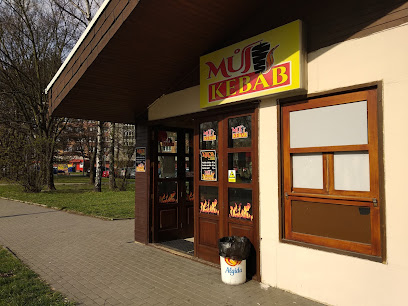 Můj kebab
