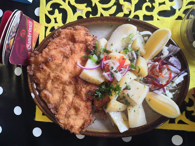 Opinii despre Restaurace U Páva Kladno în Dubí - Gastronomie a pohostinství