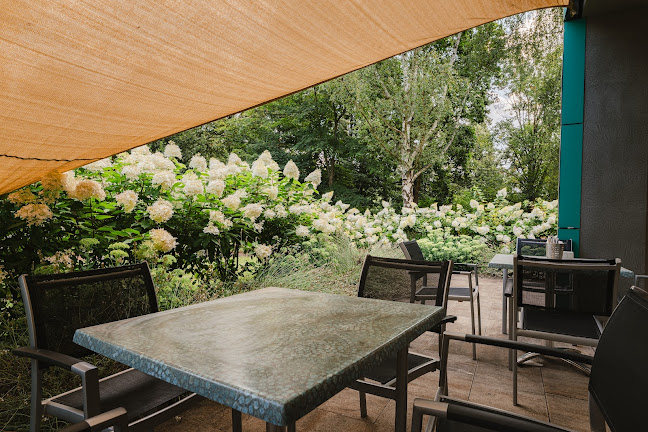 Comentarii opinii despre Bistro restaurant Sanus