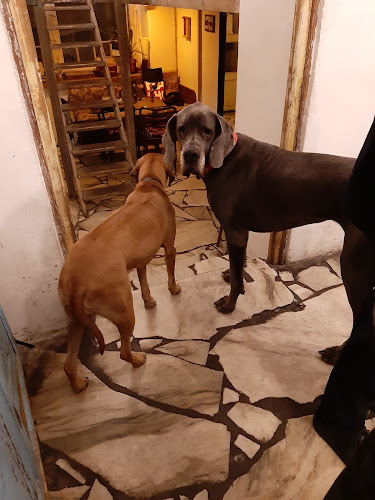 38, Heřmanova 592, Holešovice, 170 00 Praha 7