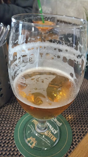 Comentarii opinii despre Restaurace U ŽÁBY