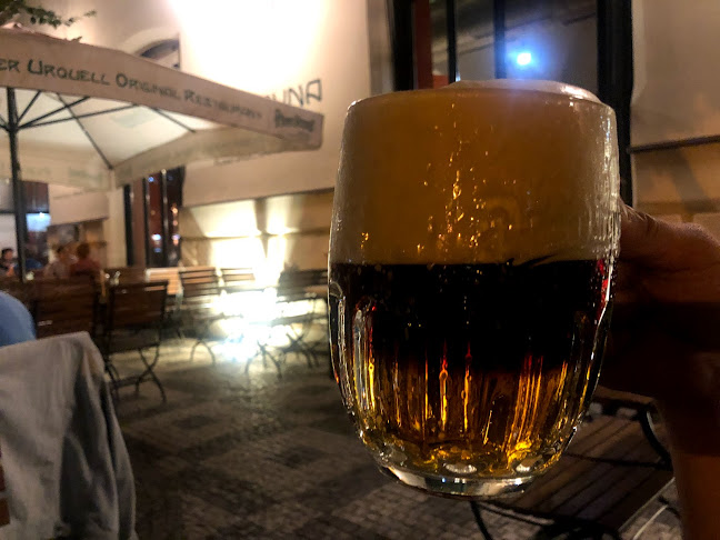 Kolkovna Celnice - Gastronomie a pohostinství