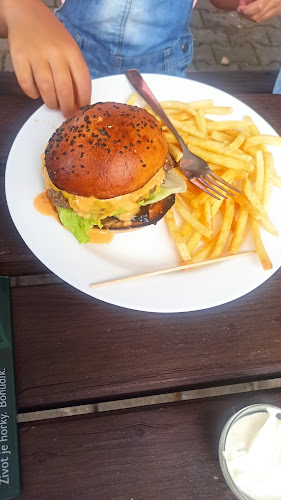 Provodov-Šonov 170, 549 08 Provodov-Šonov