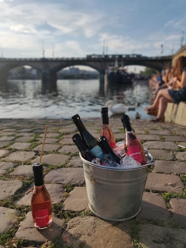 Opinii despre Vinotéka ARFANTA în Nové Město - Gastronomie a pohostinství