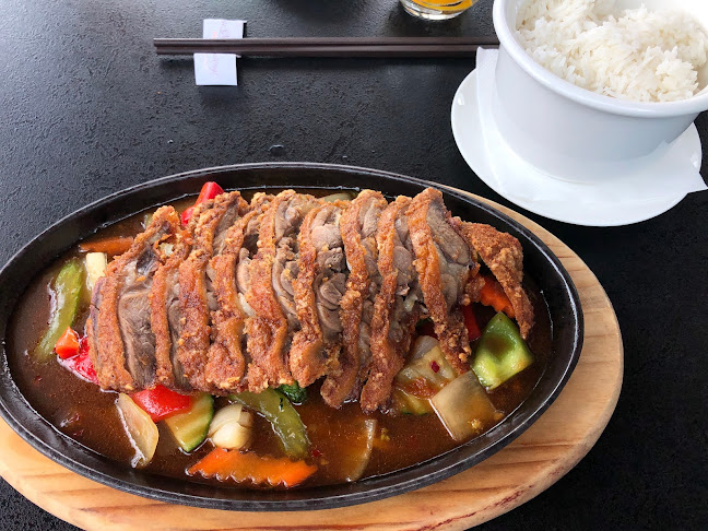 63, Olomoucká 1129, 627 00 Brno-Černovice