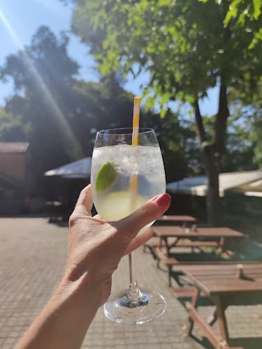 Restaurace U krále Václava IV. - Gastronomie a pohostinství