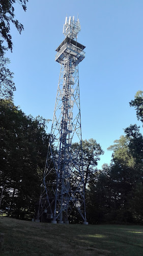 Opinii despre Pension Pastis în Ústí nad Labem - Gastronomie a pohostinství