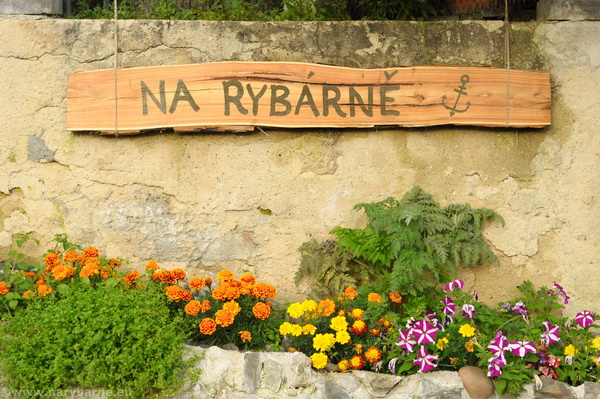 Opinii despre Areál Na Rybárně Rakolusky în Plzeň - Gastronomie a pohostinství