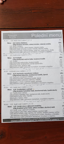 Comentarii opinii despre Restaurace Bohema