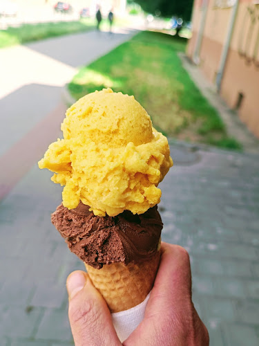 Úvoz 447/120, 602 00 Brno-střed-Veveří