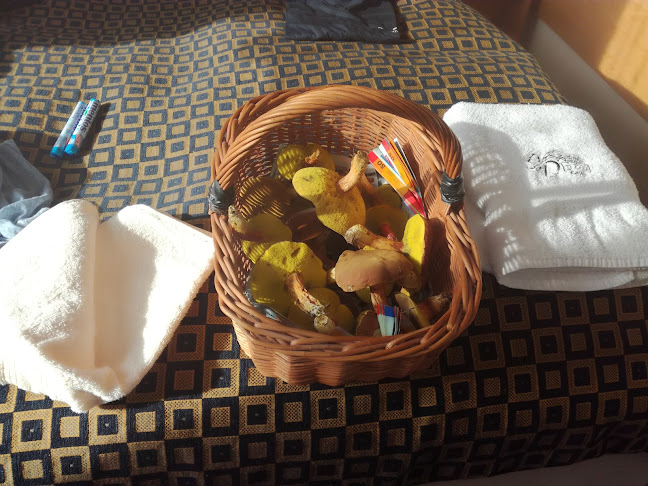 Schaumannův Dvůr s.r.o.