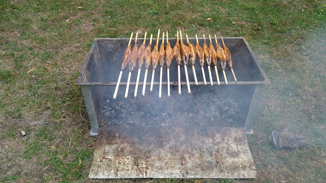 Opinii despre Hospoda în Olomouc - Gastronomie a pohostinství