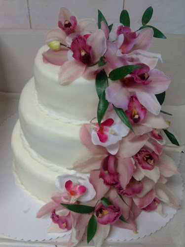 cukrárna u Berušky Praha 9 - Gastronomie a pohostinství