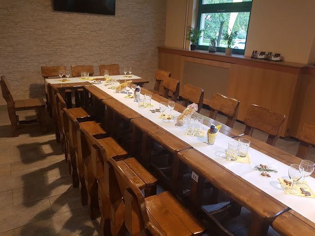 Comentarii opinii despre Žíznivý dromedár - Minipivovar a restaurace Ostrava