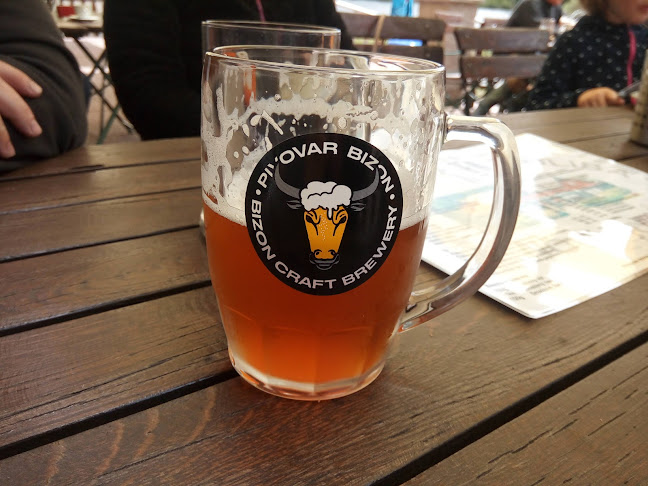 Opinii despre Kemp Nový rybník în Nepomuk - Gastronomie a pohostinství