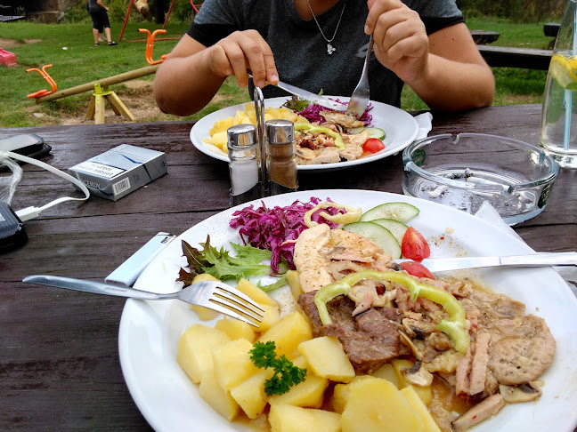 Comentarii opinii despre Restaurace SOKOLOVNA Peklo