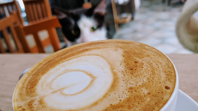 Kavárna Kočičí Praha