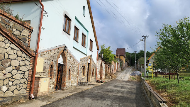 Comentarii opinii despre Hotel Kraví Hora