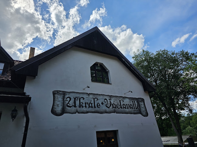 Comentarii opinii despre Restaurace U krále Václava IV.