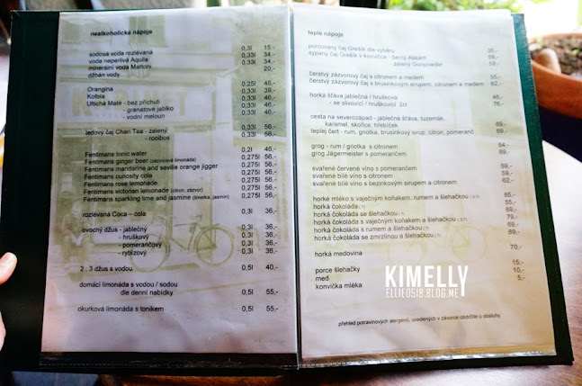 Terronská 619, 160 00 Praha 6-Bubeneč