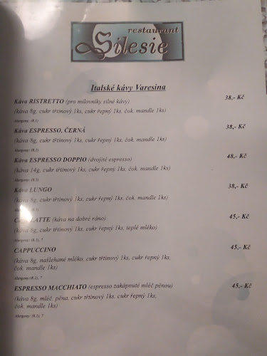 Myslbekova 271/4A, 790 03 Jeseník 1