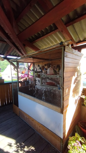 Opinii despre Restaurace Na Záložně în Olomouc - Gastronomie a pohostinství