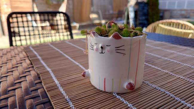 RustiC - Gastronomie a pohostinství