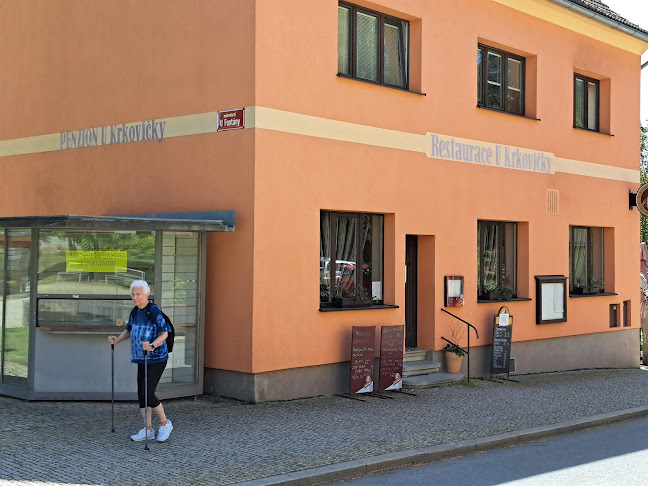 Penzion a restaurace U Krkovičky - Plzeň